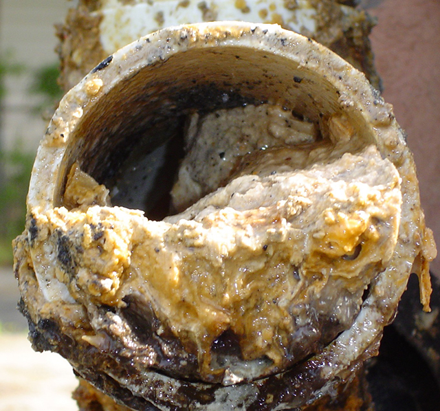 Жировые отложения в канализационной трубе