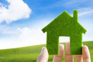 Экологичность и забота о природе