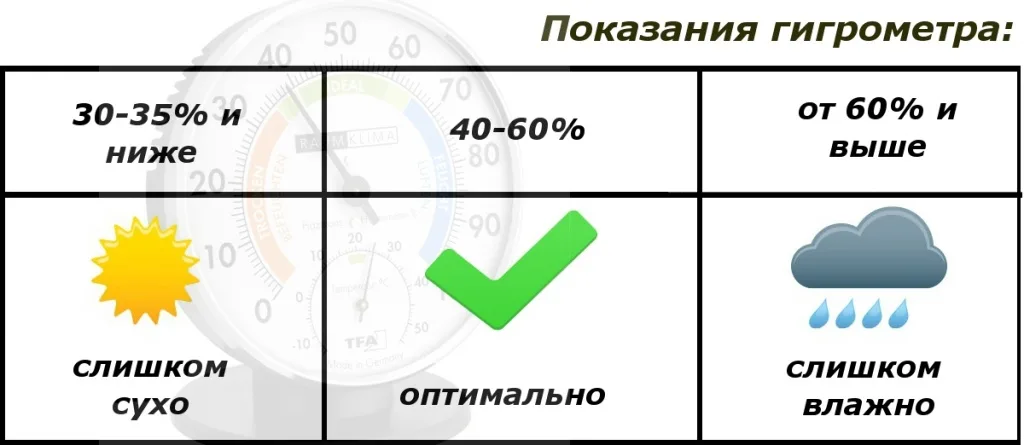 Главный толчок к возникновению чёрной плесени – продолжительное повышение влажности