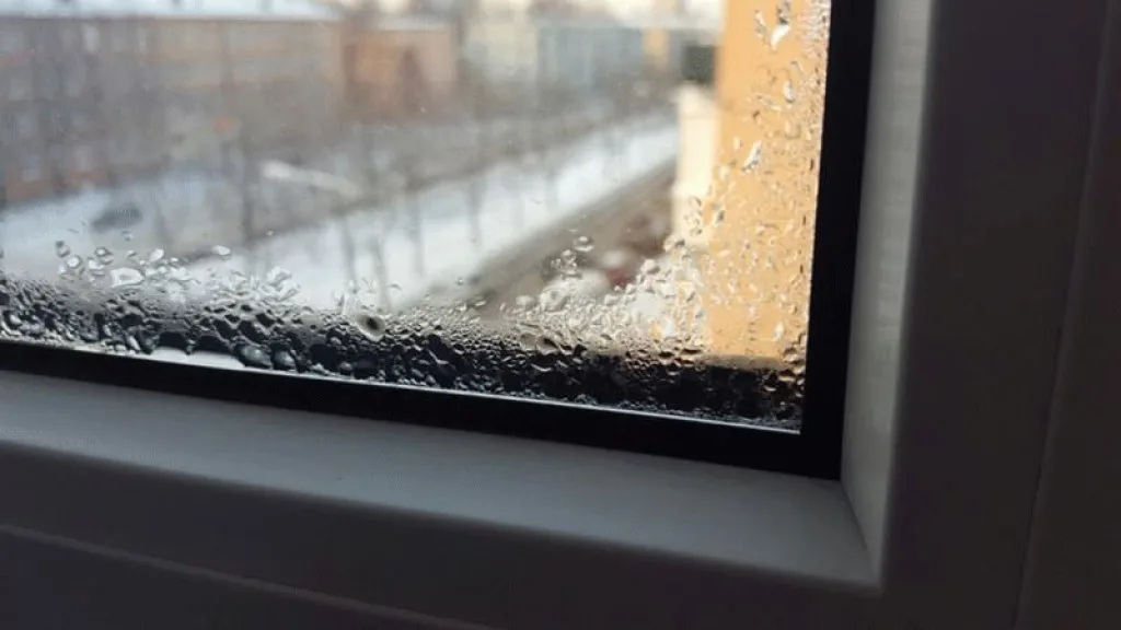 Если окна ПВХ постоянно закрыты, появления грибка не избежать