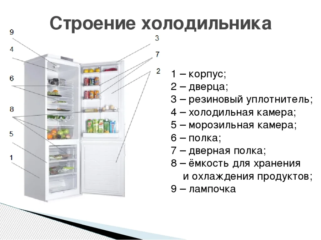 Строение холодильника