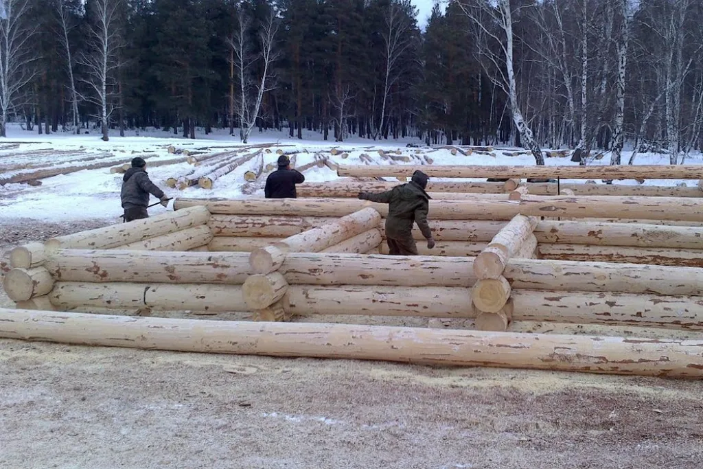 Морозы — не помеха для работы бригады опытных плотников.