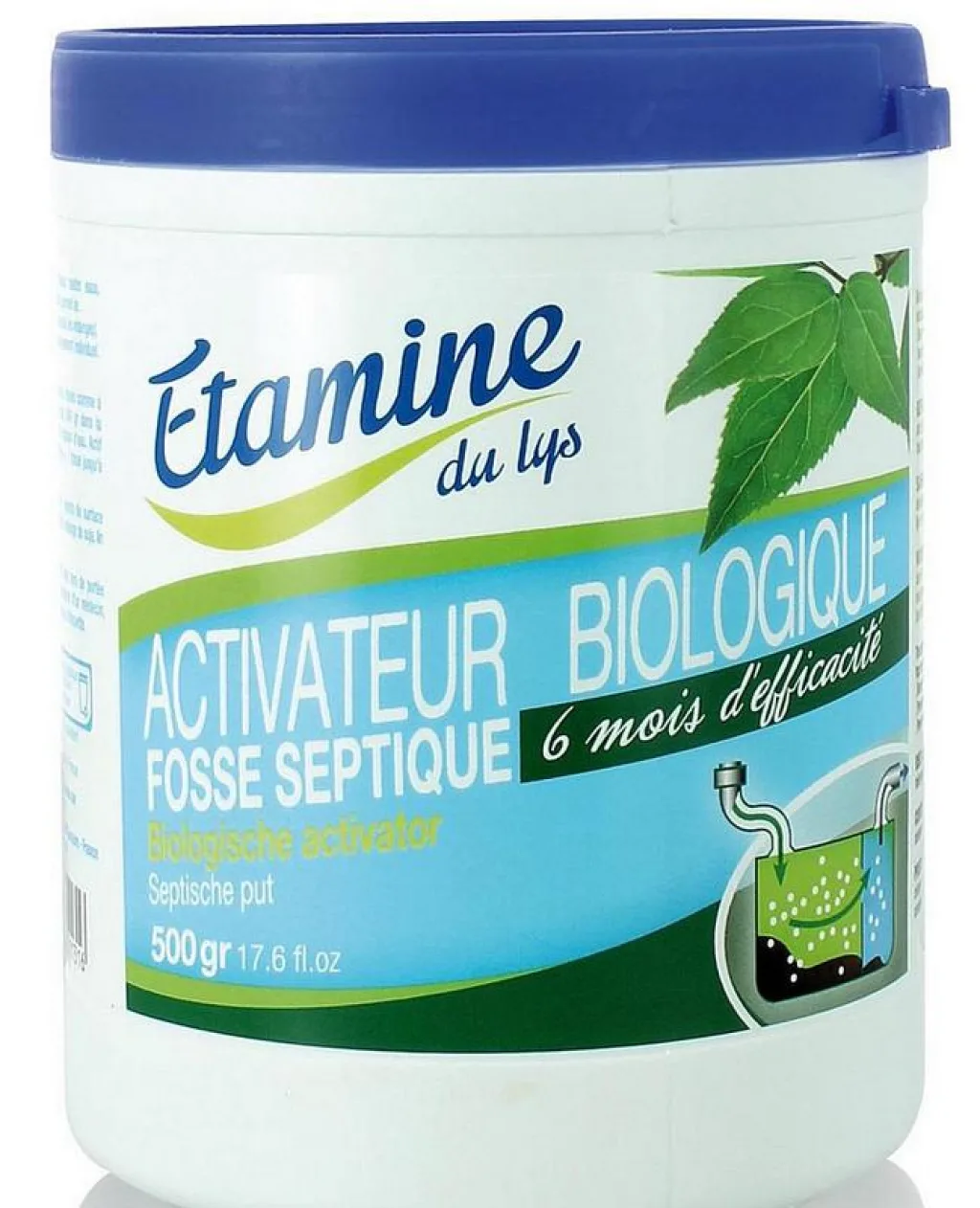 Etamine du lys