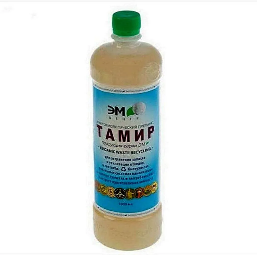Тамир
