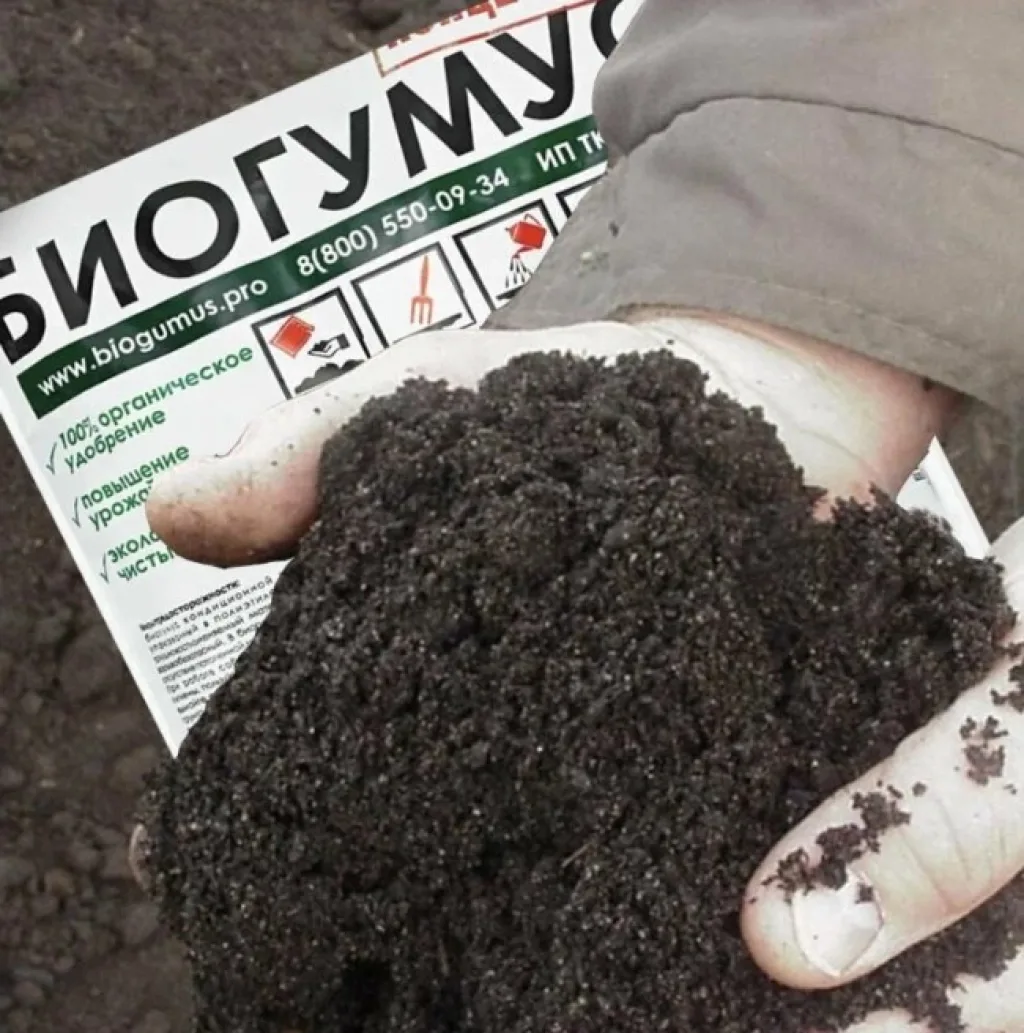 Биогумус Концентрат