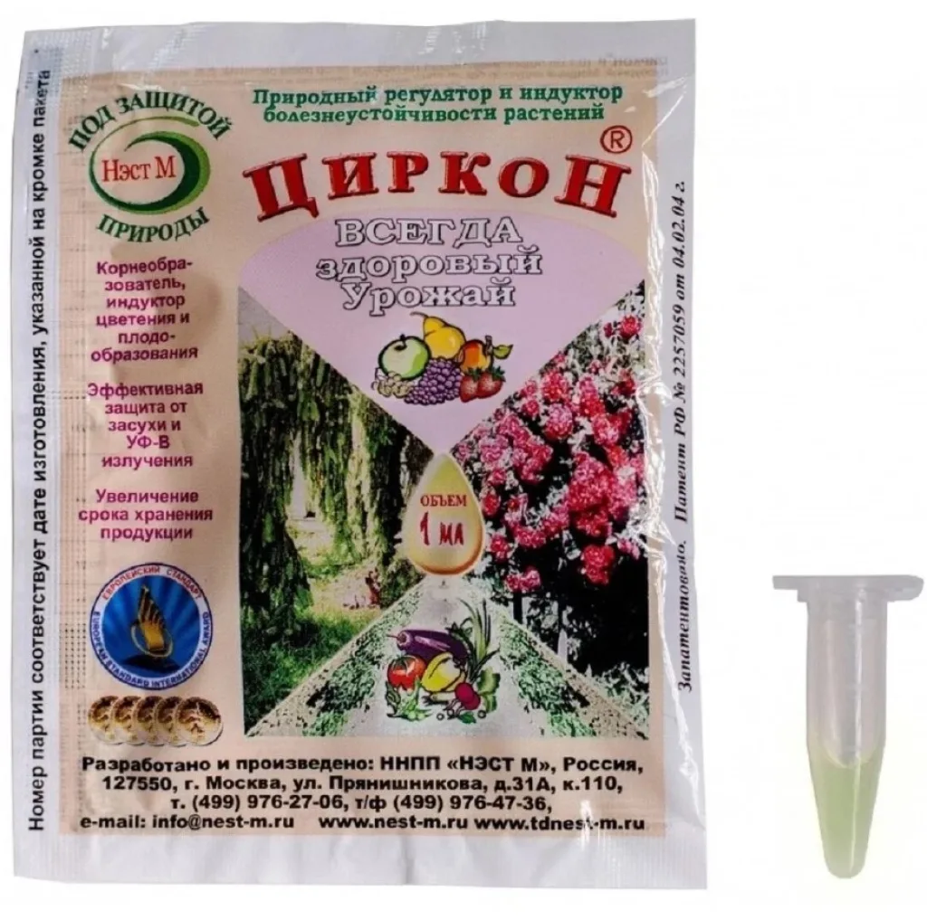 НЭСТ М Циркон