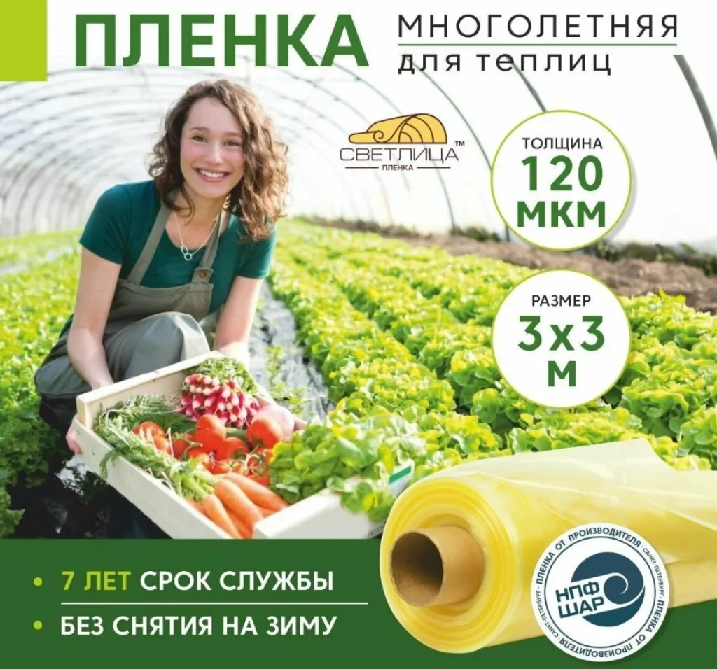 Светлица