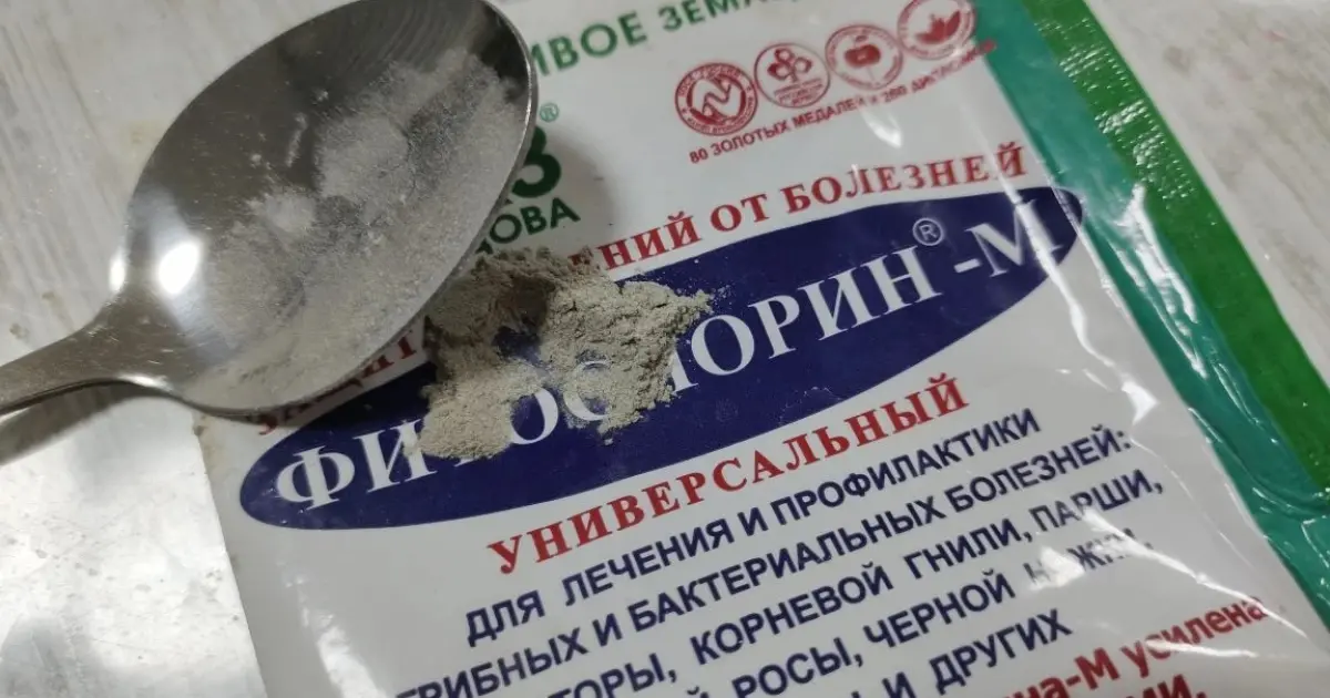 подготовка и правильное применение Фитоспорина для защиты растений на дачном участке