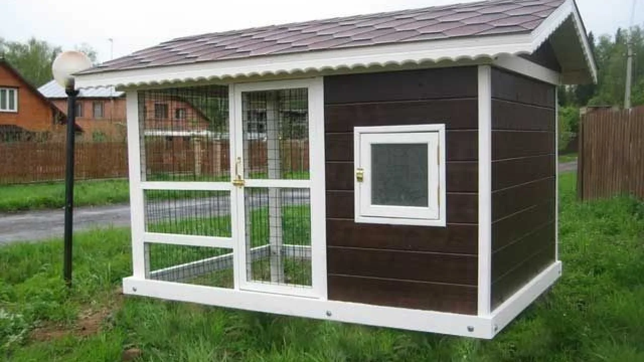 Курятник своими руками: пошаговая инструкция с фото