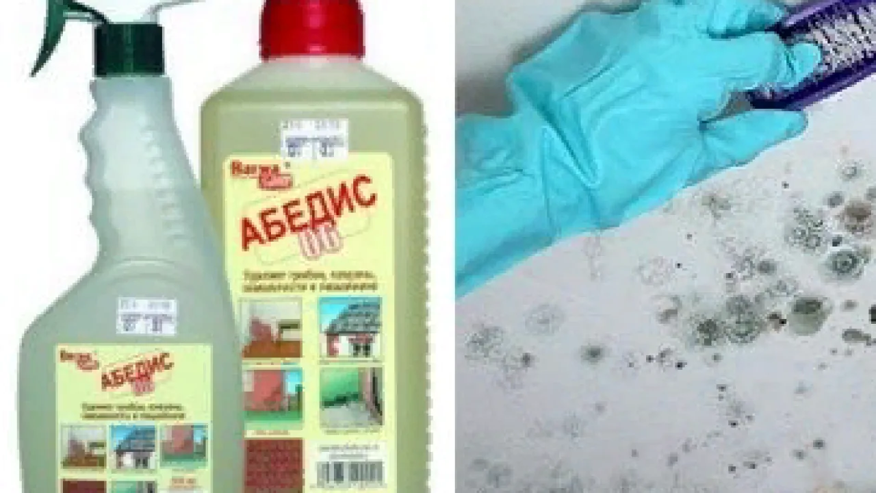«АБЕДИС 06»