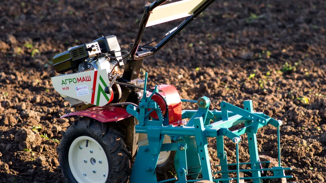 Какую выбрать картофелекопалку для мотоблока