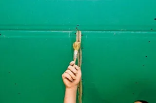 21
