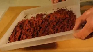 тр13