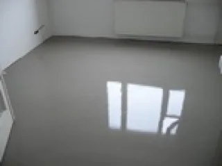 лап24