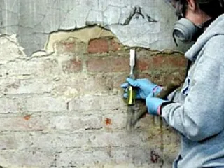 сня1