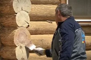 тол11