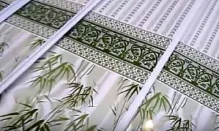 ту23