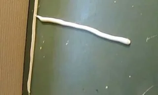 ту29
