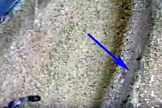 фи8