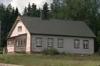 фир10