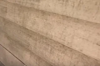 фир11