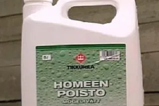 фир12