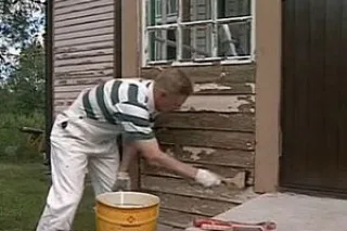 фир20