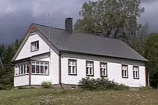 фир24