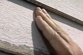 фир5