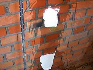теш19