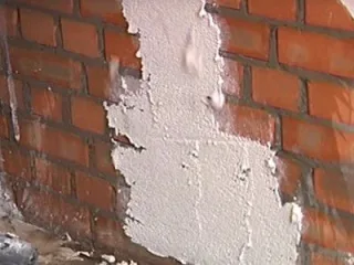 теш29