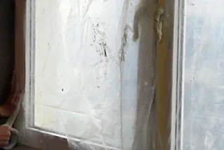 шп3