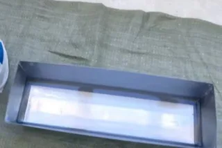 раст1