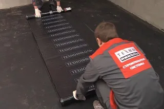 тпш20