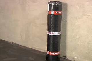тпш31