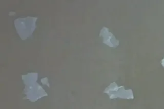 швы6