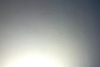 шф24