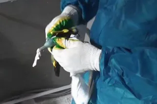 утеу30