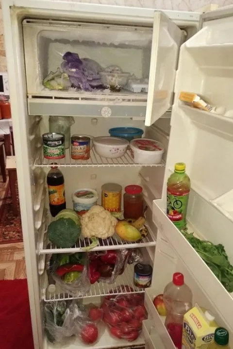 Безусловно, старые холодильники, которые оснащались, понятно, исключительно линейными компрессорами, не столь комфорты, но надежность их неоспорима. На иллюстрации представлен холодильник, произведенный без малого 40 лет назад, и исправно работающий до сегодняшних дней.