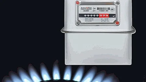 Счетчики газа бытовые как выбрать: рекомендации по выбору квартирных и домовых