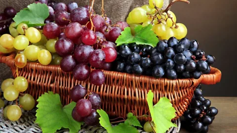 Лучшие сорта винограда: Топ 15 популярных видов для производства вина и употребления в качестве десерта