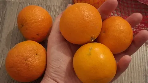 Как выбрать вкусные мандарины: сладкие и сочные — запах Нового года в ноябре