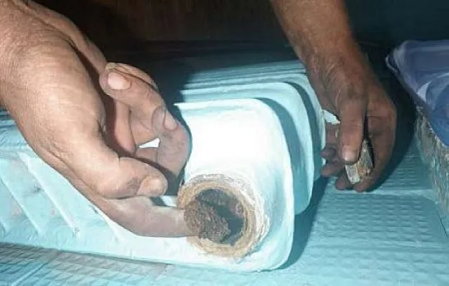 Заиливание радиатора