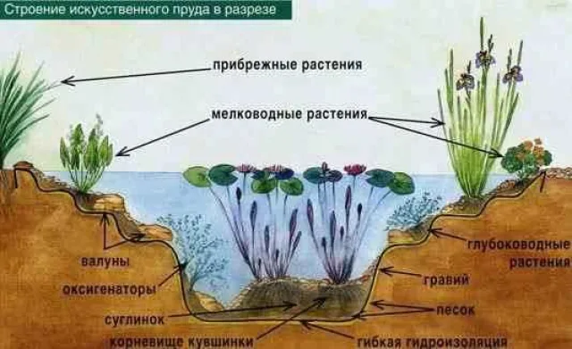 Как сделать декоративный пруд в саду