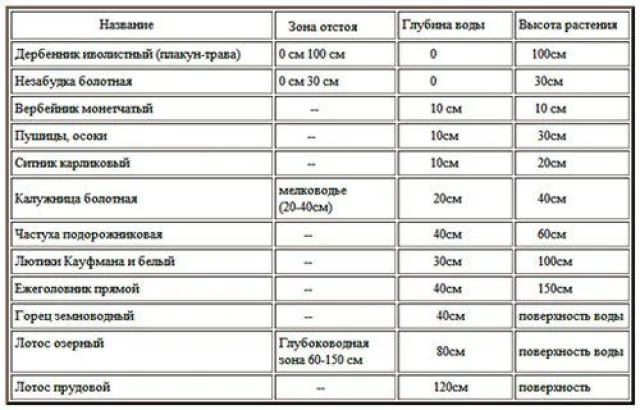 Растения для пруда