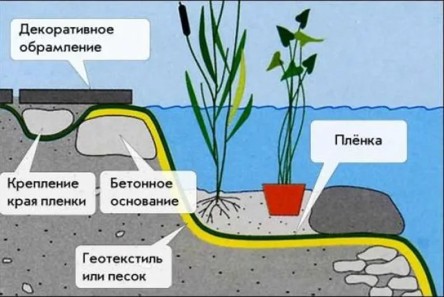 Схема устройства пруда с гидроизоляцией
