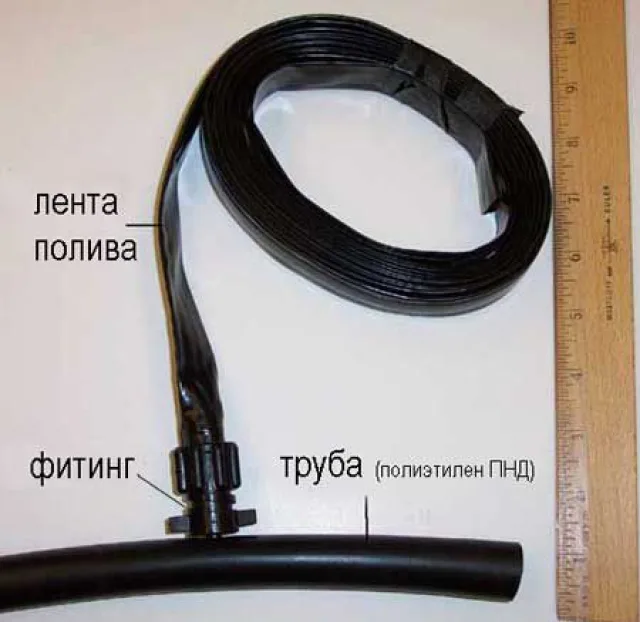 Вариант устройства полива с капельными лентами
