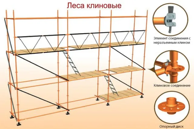 КЛиновые леса