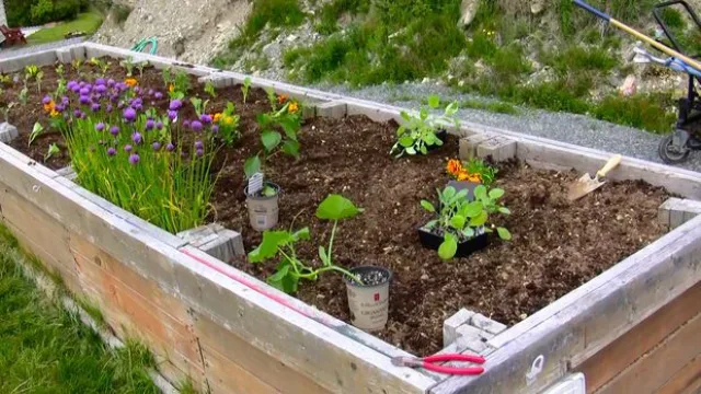 Оптимальные размеры высоких грядок