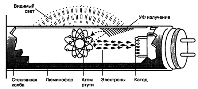 Строение люминесцентной лампы
